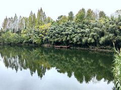 -东平国家森林公园
