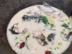 -鲜潭蒸汽石锅鱼(五道口购物中心店)