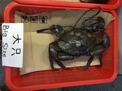 -龙海鲜螃蟹王(宏茂桥店)