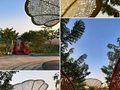 -白石龙音乐公园