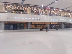 -TheRink大零溜冰场(IFS国金中心店)