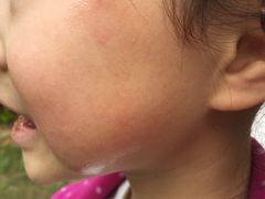 -崇明东平国家森林公园烧烤房车露营地