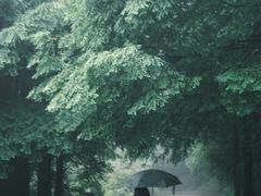 -山王坪喀斯特国家生态公园