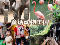 -长鹿旅游休博园
