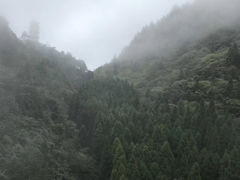 -娄山关景区