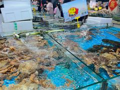 -和源祥·日照菜扛把子(万平口一店)