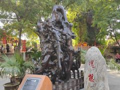 -大槐树寻根祭祖园