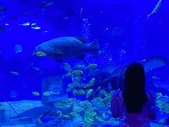 -正佳极地海洋世界