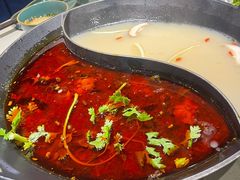 红汤梭边鱼锅-新辣道鱼火锅(上地华联店)