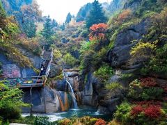 -芦芽山旅游度假区