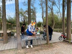 -前小桔亲子创意农场·草莓采摘·露营烧烤