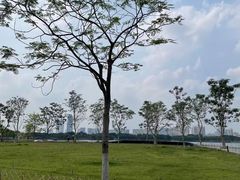 -海珠湖公园