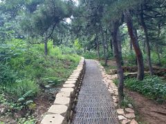 -北京西山国家森林公园