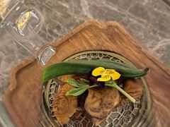 -Hi City·城市之巅