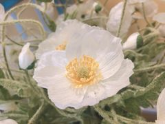 -莫奈花园法式蛋糕