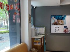 -御宝贝·A梦猫科宠物医院(国际猫友好医院)