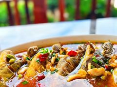 -呼吸森林·生态农庄农家乐私房菜