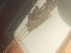 -寂寞的豆芽(龙泽路店)