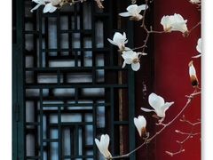 -颐和园