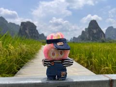 -明仕田园