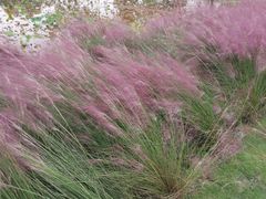 -中国天府农业博览园