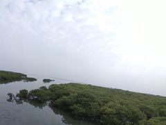 -北海金海湾红树林生态旅游区