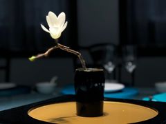 -松云泽