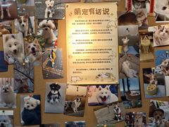 -翊宠yipet猫狗购宠庄园犬舍•猫舍