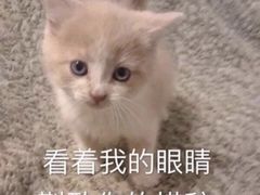 -海底捞火锅(武胜路凯德广场店)