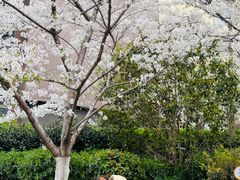 -上海静安大悦城