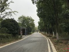 -武汉园博园(武汉自然博物馆)