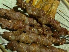 -通海俄式烧烤(下瓦房店)