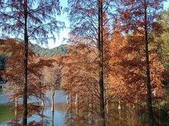 -广州市白云山风景名胜区