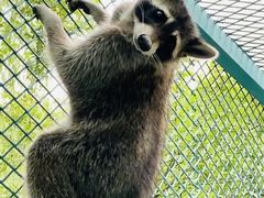 -水上乐园·欢乐世界