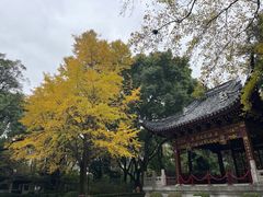 -汇龙潭