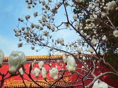 -北京市劳动人民文化宫(太庙)