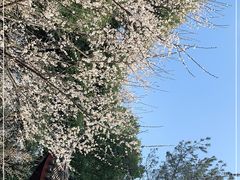 -杭州植物园