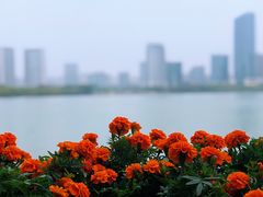 -天鹅湖体育公园