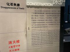 -北京周口店北京人遗址博物馆