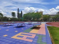 -石狮市游泳馆(泰禾店)