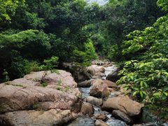 -广州白江湖森林公园