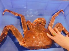 -蟹后Crabber(水悦城店)