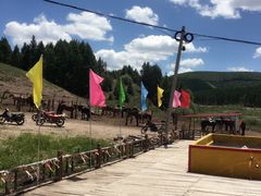 -塞罕坝国家级自然保护区