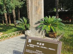 -包公祠