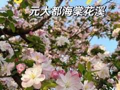 -海棠花溪(元大都城垣遗址公园)