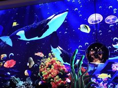 -圣琼美食百汇自助餐(白云万达店)