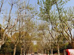 -上海鲜花港