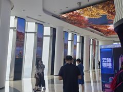 -平安金融中心云际观光层