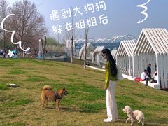 -灞河西岸滨河公园