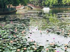 -深圳龙潭公园